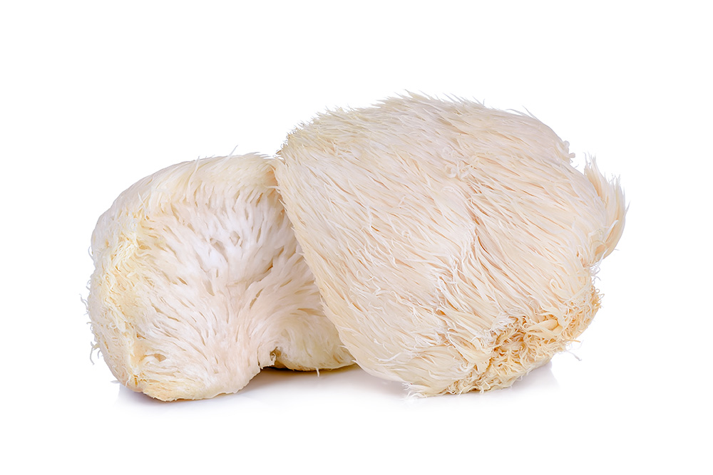 Hericium erinaceus, Igelstachelbart, Pom-Pom, Affenkopfpilz